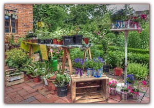 Staudenmarkt Bauerngarten Haus Peters Landfrauen